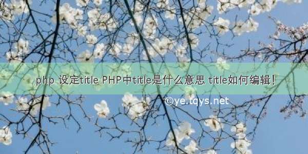 php 设定title PHP中title是什么意思 title如何编辑！