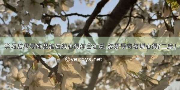 学习结果导向思维后的心得体会汇总 结果导向培训心得(二篇)