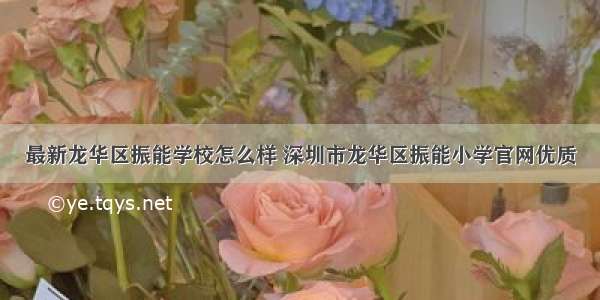 最新龙华区振能学校怎么样 深圳市龙华区振能小学官网优质