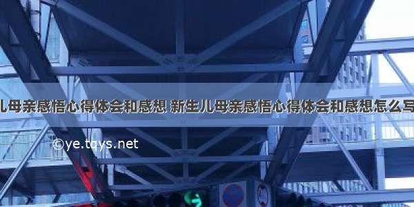 新生儿母亲感悟心得体会和感想 新生儿母亲感悟心得体会和感想怎么写(8篇)