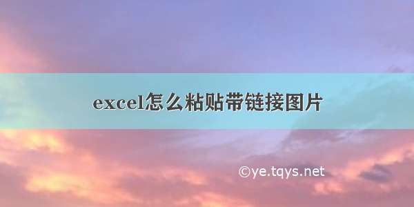 excel怎么粘贴带链接图片