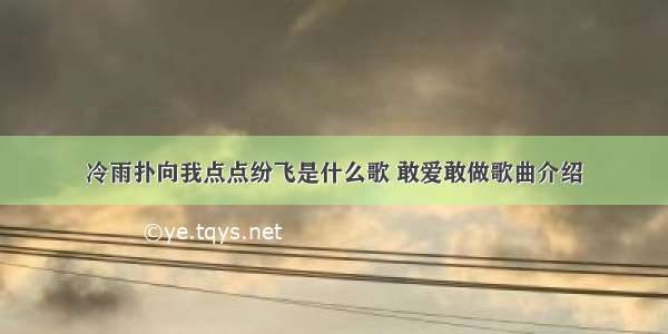 冷雨扑向我点点纷飞是什么歌 敢爱敢做歌曲介绍