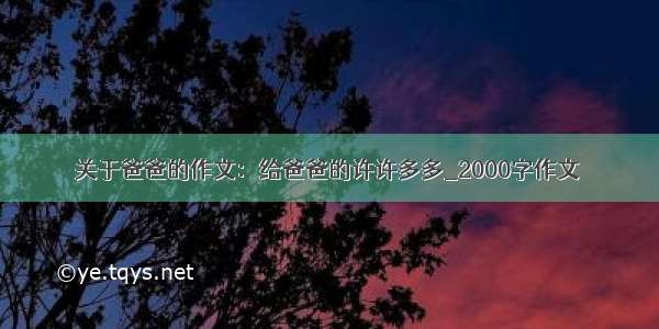 关于爸爸的作文：给爸爸的许许多多_2000字作文