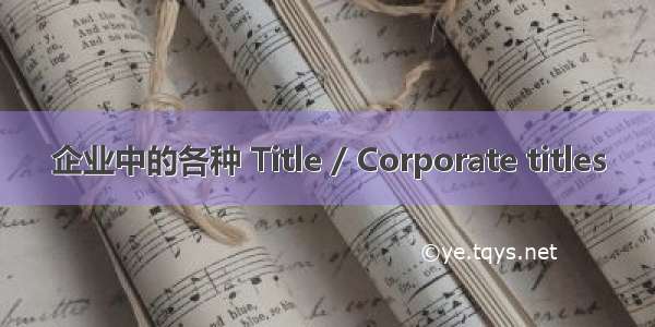 企业中的各种 Title / Corporate titles