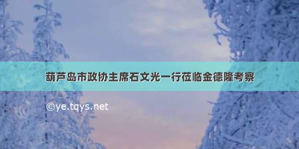 葫芦岛市政协主席石文光一行莅临金德隆考察