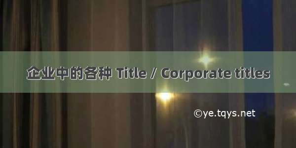 企业中的各种 Title / Corporate titles