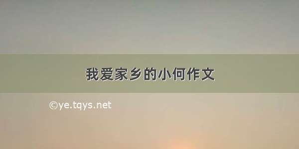 我爱家乡的小何作文