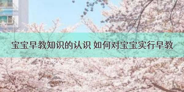 宝宝早教知识的认识 如何对宝宝实行早教