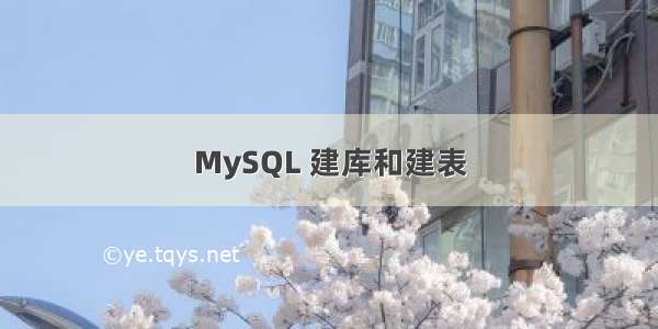 MySQL 建库和建表