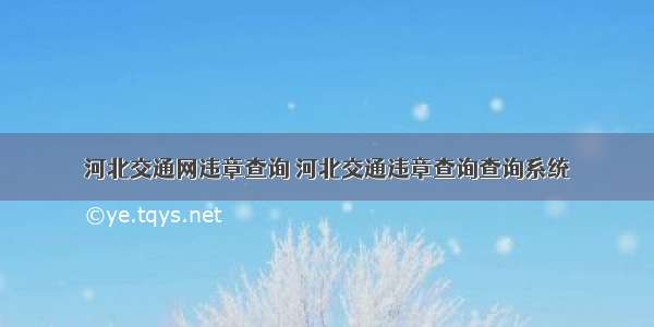 河北交通网违章查询 河北交通违章查询查询系统