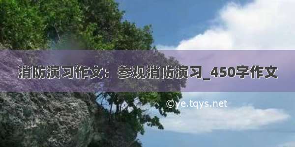 消防演习作文：参观消防演习_450字作文