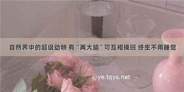 自然界中的超级动物 有“两大脑”可互相换班 终生不用睡觉