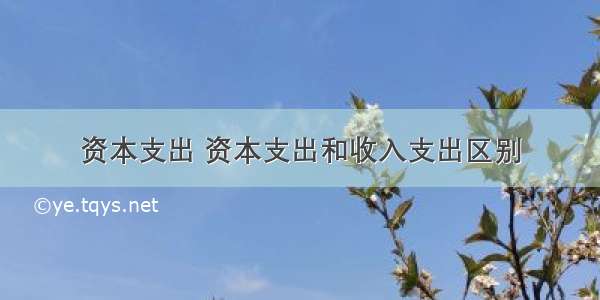 资本支出 资本支出和收入支出区别