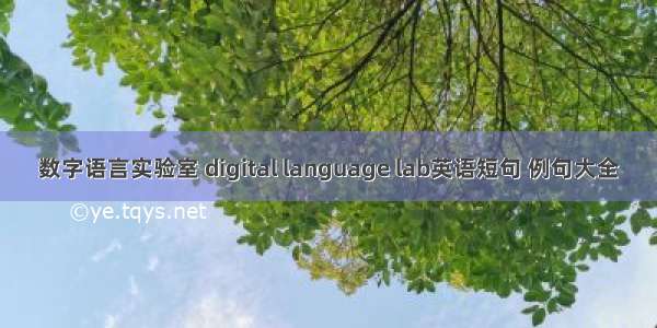 数字语言实验室 digital language lab英语短句 例句大全