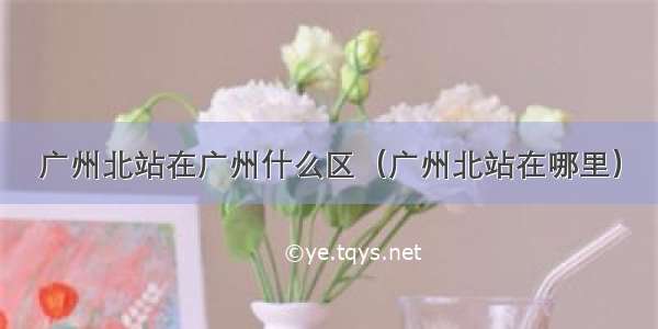 广州北站在广州什么区（广州北站在哪里）