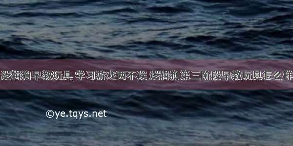 逻辑狗早教玩具 学习游戏两不误 逻辑狗第三阶段早教玩具怎么样