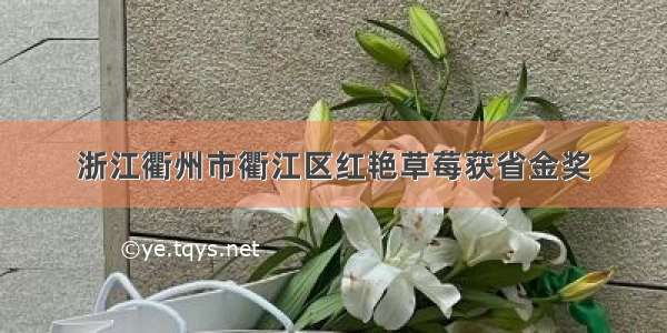 浙江衢州市衢江区红艳草莓获省金奖