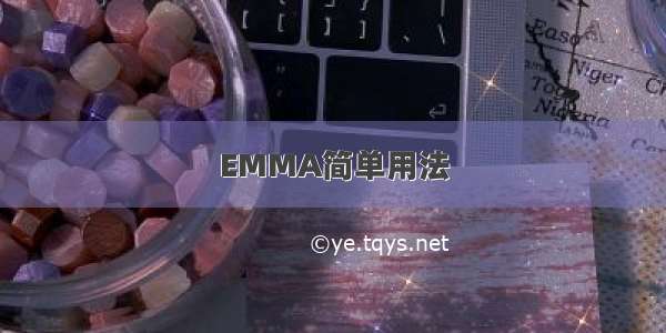 EMMA简单用法