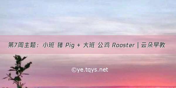 第7周主题：小班 猪 Pig + 大班 公鸡 Rooster | 云朵早教