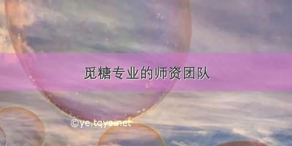 觅糖专业的师资团队