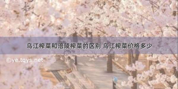 乌江榨菜和涪陵榨菜的区别 乌江榨菜价格多少