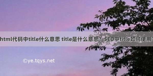 html代码中title什么意思 title是什么意思？SEO中title如何使用？