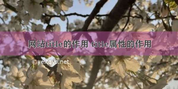 网站title的作用 title属性的作用