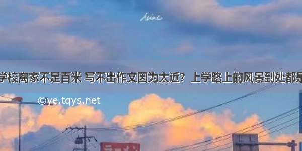 学校离家不足百米 写不出作文因为太近？上学路上的风景到处都是