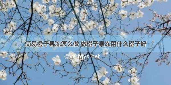 简易橙子果冻怎么做 做橙子果冻用什么橙子好