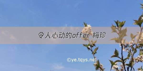 令人心动的offer 梅珍