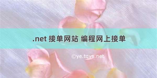 .net 接单网站 编程网上接单