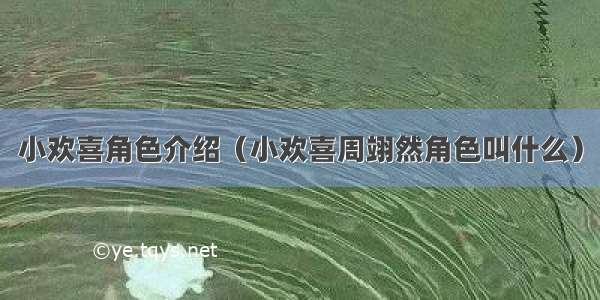 小欢喜角色介绍（小欢喜周翊然角色叫什么）