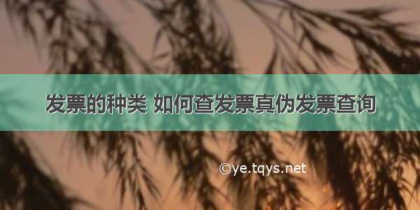 发票的种类 如何查发票真伪发票查询