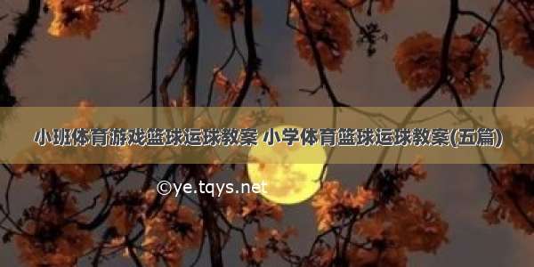 小班体育游戏篮球运球教案 小学体育篮球运球教案(五篇)