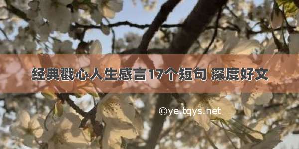 经典戳心人生感言17个短句 深度好文