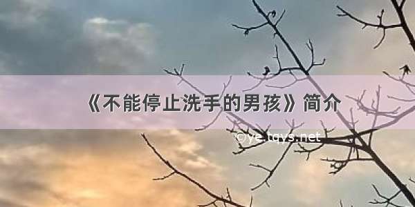 《不能停止洗手的男孩》简介