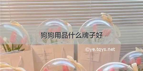 狗狗用品什么牌子好