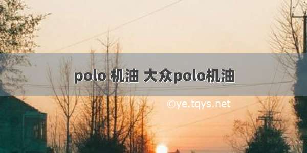 polo 机油 大众polo机油