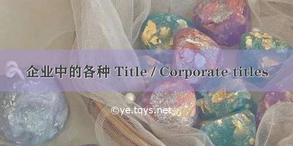 企业中的各种 Title / Corporate titles