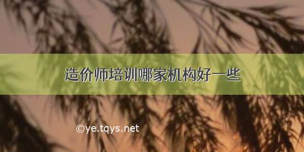 造价师培训哪家机构好一些