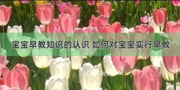 宝宝早教知识的认识 如何对宝宝实行早教