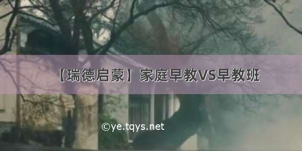 【瑞德启蒙】家庭早教VS早教班