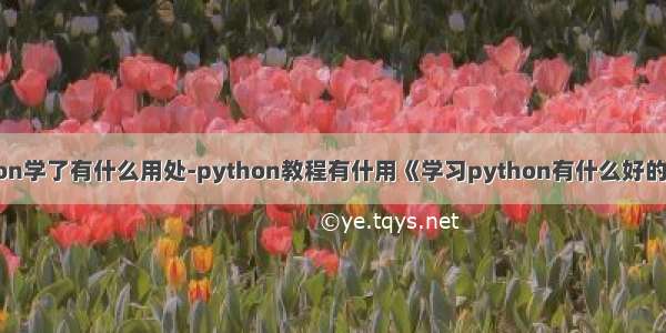 python学了有什么用处-python教程有什用《学习python有什么好的用处》