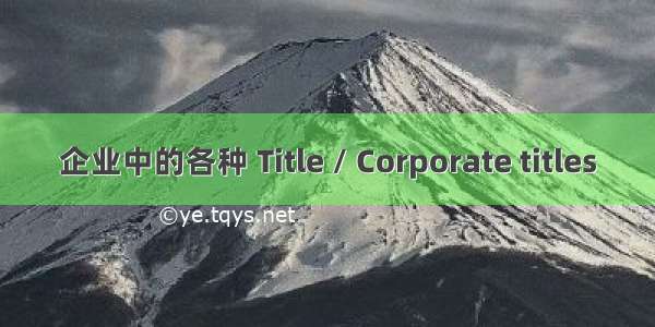 企业中的各种 Title / Corporate titles