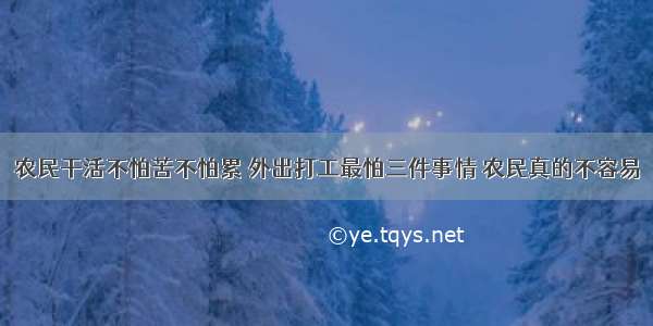 农民干活不怕苦不怕累 外出打工最怕三件事情 农民真的不容易