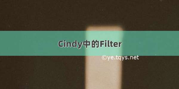 Cindy中的Filter