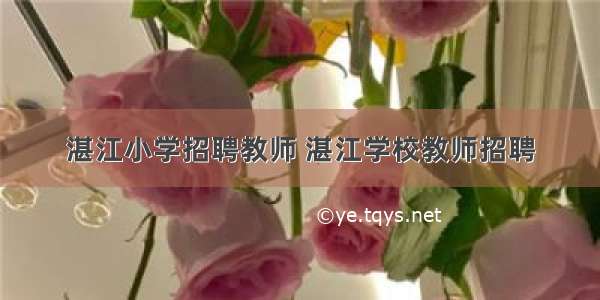 湛江小学招聘教师 湛江学校教师招聘