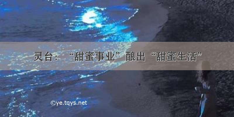 灵台：“甜蜜事业”酿出“甜蜜生活”