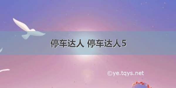 停车达人 停车达人5