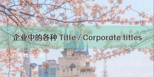 企业中的各种 Title / Corporate titles